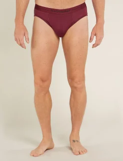 Icebreaker Underwear^Men's Merino 150 Anatomica Briefs Port