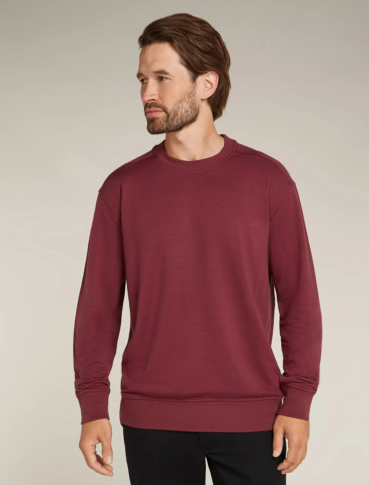 Icebreaker Jumpers & Hoodies^Men's Merino Blend 200 Shifter Long Sleeve Sweatshirt Port