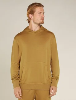 Icebreaker Jumpers & Hoodies^Men's Merino Blend 200 Shifter Long Sleeve Hoodie Russet