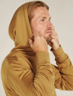 Icebreaker Jumpers & Hoodies^Men's Merino Blend 200 Shifter Long Sleeve Hoodie Russet