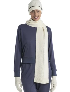 Icebreaker Jumpers & Hoodies^Women's Merino Blend 200 Crush Long Sleeve Hoodie Graphite